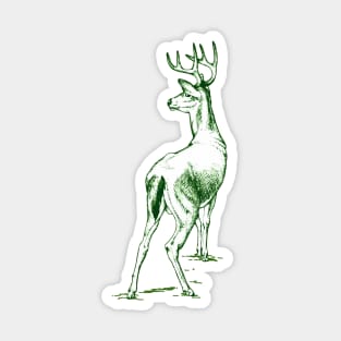 Curious Deer (green) Sticker